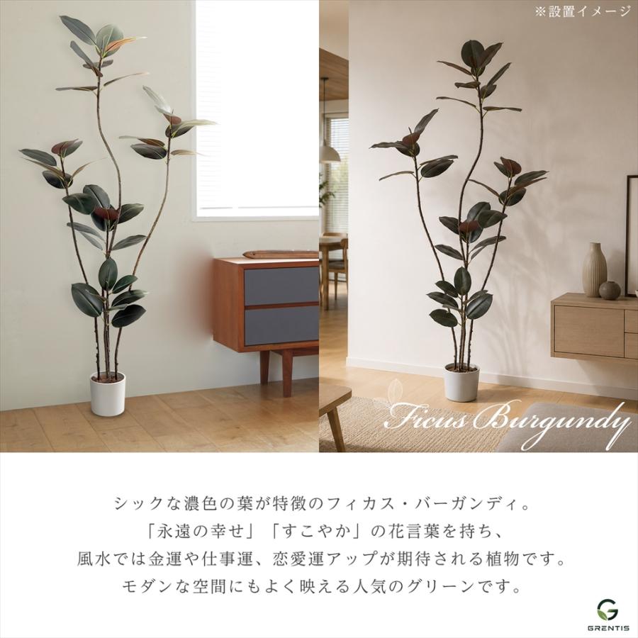 光触媒 人工観葉植物 フェイクグリーン フィカストライアンギュラスpo 