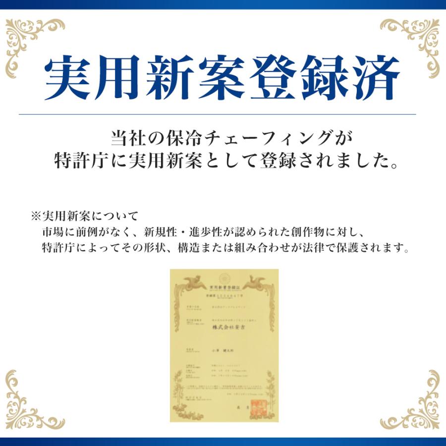保冷チェーフィングディッシュ 選べるホテルパン 1/1 1/2 1/3