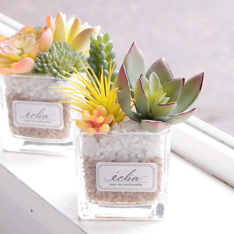 CT触媒加工 フェイクグリーン　17個　まとめ売り　空気清浄 楽天市場】光触媒より便利な『CT触媒フェイクグリーン 多肉植物寄せ