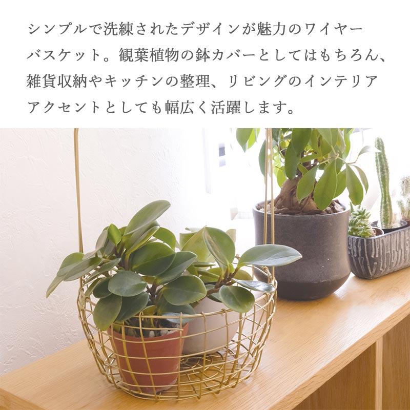 キシマ（KISHIMA） 収納 ワイヤーバスケット 収納バスケット 真鍮風