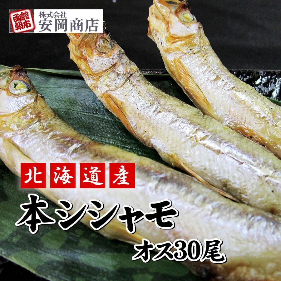 北海道産 本シシャモ オス 30尾 : 株式会社安岡商店 - 通販 - Yahoo!ショッピング