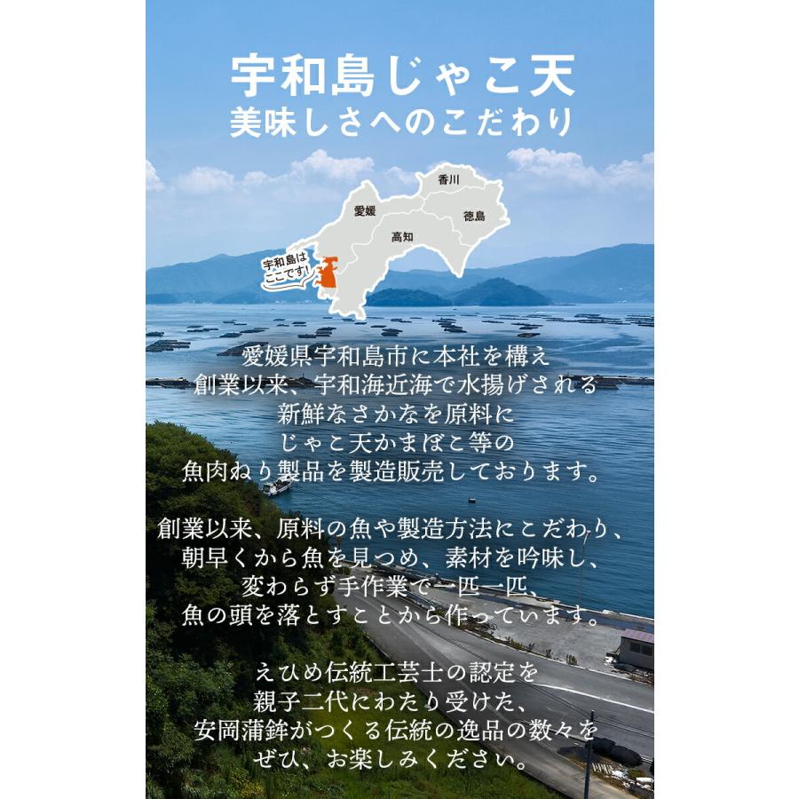 宇和島じゃこ天 3枚入｜じゃこてん 愛媛 かまぼこ お取り寄せ 安岡蒲鉾 愛媛の味 宇和島の味 揚げかまぼこ 練り物 ねりもの お土産 父の日｜yasuokakamaboko｜14