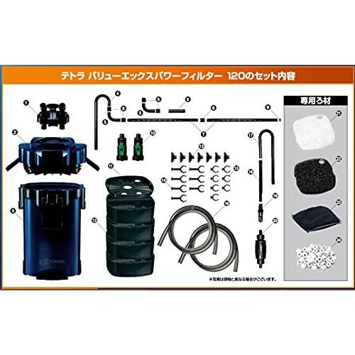 テトラ Tetra バリューエックスパワーフィルター Vx 1 適合水槽容量90 150ｃｍ 150 400l 外部フィルター アクアリウム 熱帯魚 メダカ 金魚 Bhinternalmedicine Com