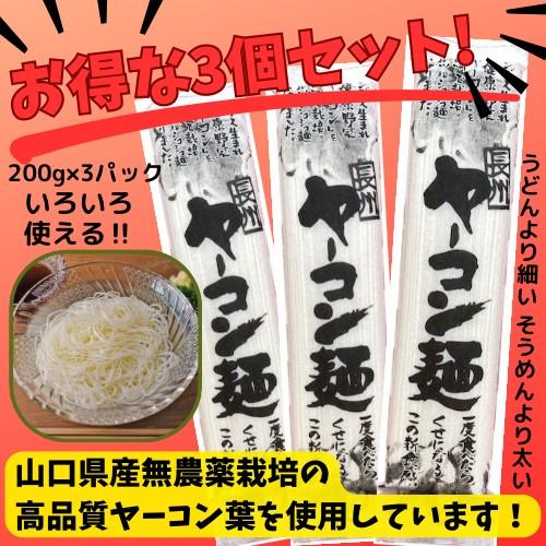 長州ヤーコン麺 1000円ポッキリ 3個セット 山口県産 ヤーコン うどん