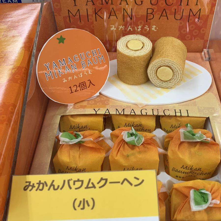 12個入 やまぐちみかんバウム バウムクーヘン 山口県 お土産 12個入 やまぐちみかんバウム バウムクーヘン 山口県 お土産
