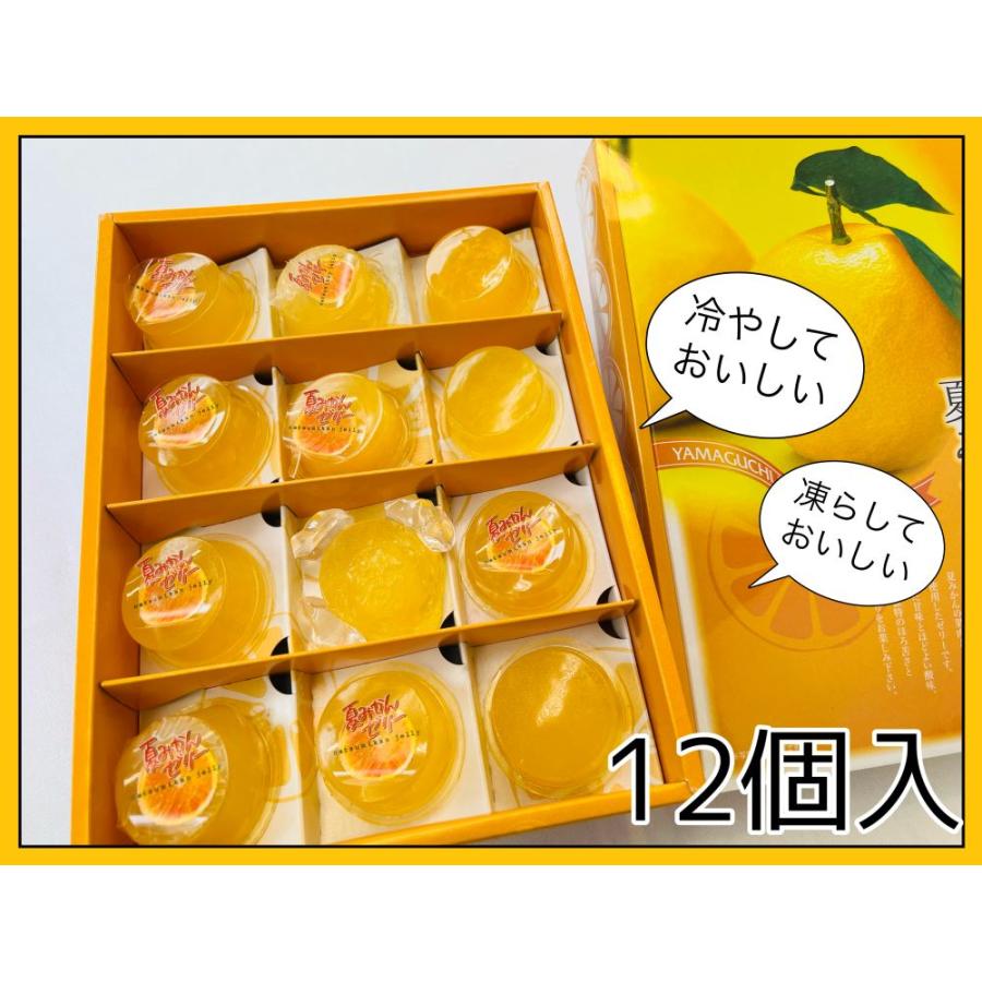 夏みかんゼリー 大 12個入り プレゼント おみやげ ギフト 秋芳洞