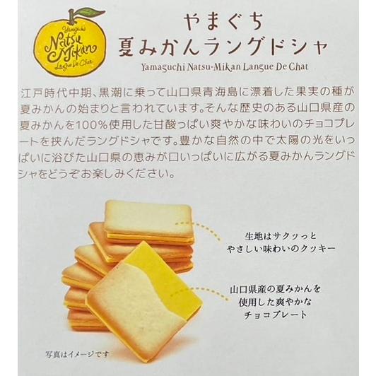 夏みかんラングドシャ 中 20枚入り お菓子 スイーツ チョコレート