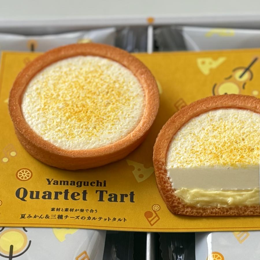 山口カルテットタルト 大 8個入り 夏みかん 三種チーズ 洋菓子