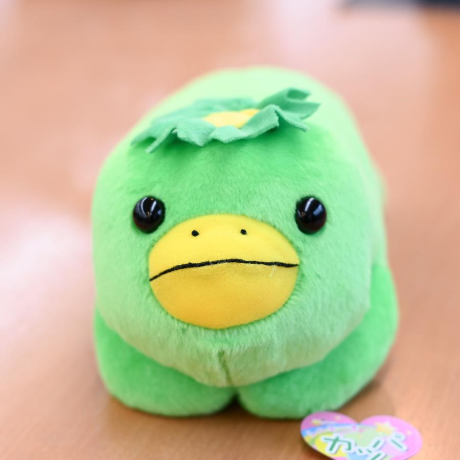 カッパぬいぐるみ 河童 かっぱ かわいい 子供 プレゼント おみやげ