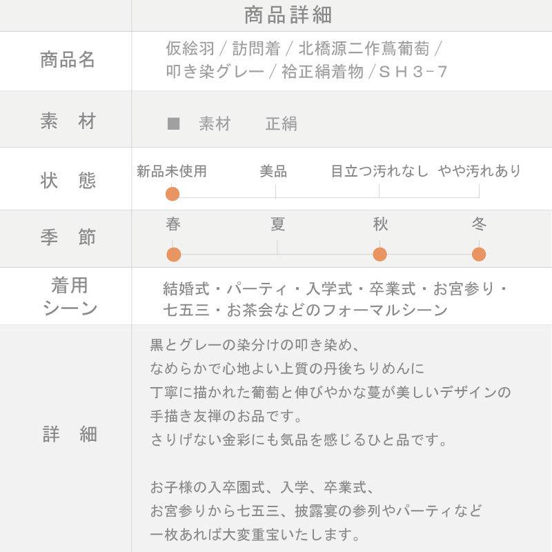 仮絵羽 訪問着 北橋源二作蔦葡萄 叩き染グレー フォーマル きもの 袷正絹着物 SH3-7の画像