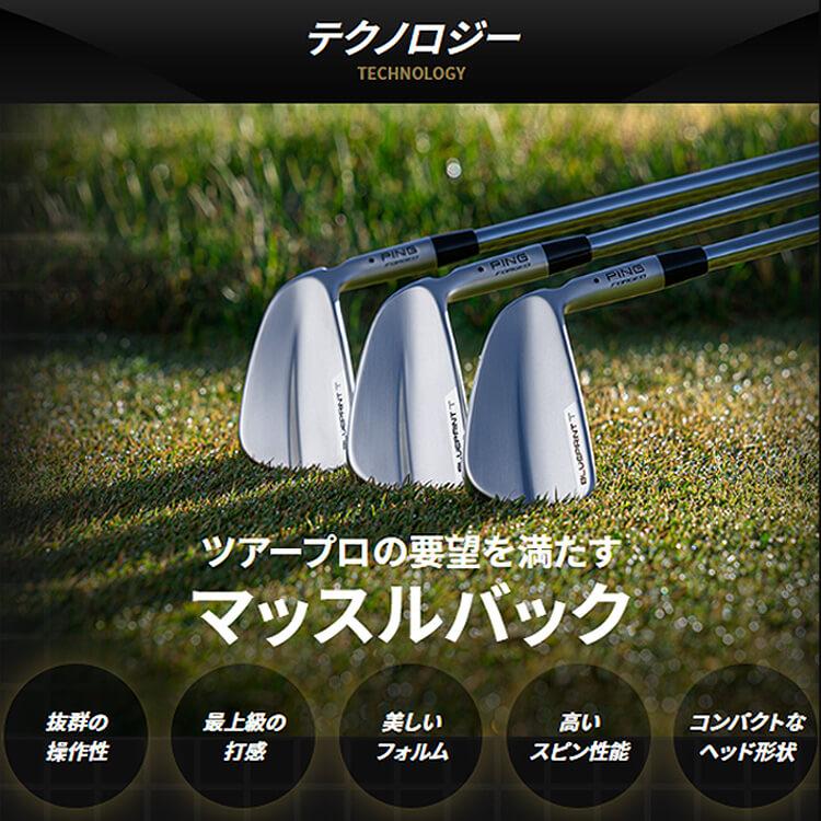 PING（ピン） BLUEPRINT T アイアン6本セット(#5-PW) N.S.PRO MODUS3