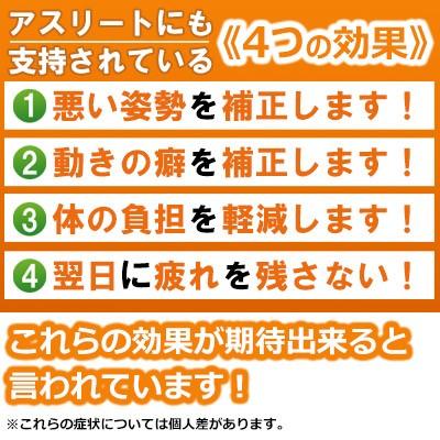 健美足 インソール ゆがみ補正 新品 健美足 [けんびそく] ゆがみ補正 ゴルフ用 インソール