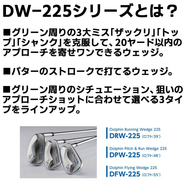 Dolphin Wedge キャスコ ドルフィン ウェッジ DW-225 DRW-225 39