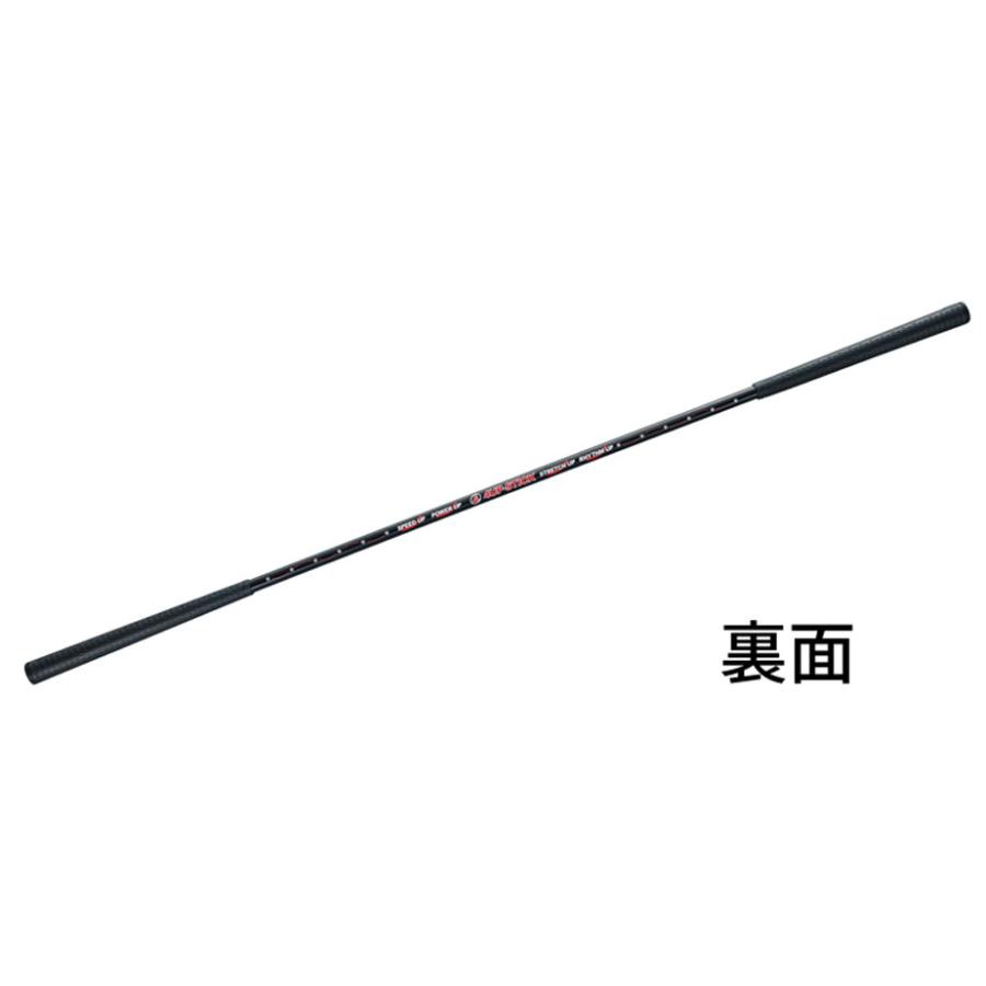 スリクソン スイングパートナーFX SRIXON GGF-0053 練習用具