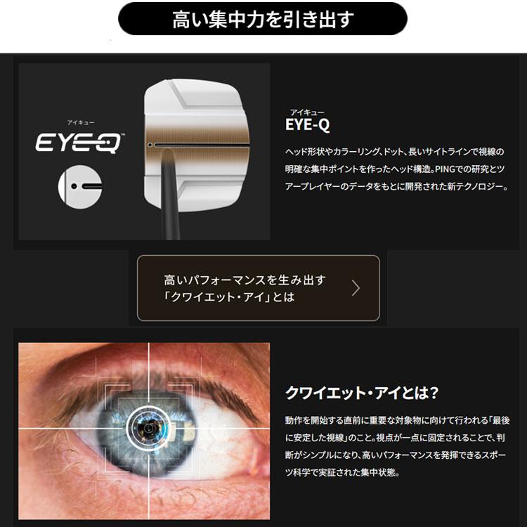 PING（ピン） メーカーカスタム SCOTTSDALE TEC スコッツデール テック