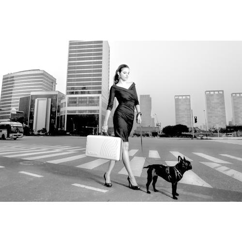 NOWWe CARRIE (ナウウィ キャリー) ペット用品 お出かけ 車 ドライブ 携帯型ドライブハウス ペット用ゲージ 折りたたみ車内ケージ 犬用 猫用 