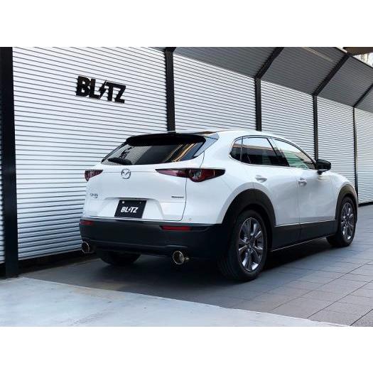 人気満点 ブリッツ Nur Spec カスタムエディション Vs Styled マツダ Cx 30 ディーゼル車 Dm8p用 左右出し 値引 Www Doctor Plan Com