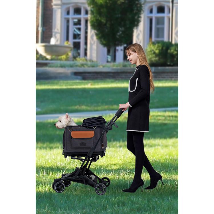 ROYAL TAILS Alice (ロイヤル テイルズ アリス) カラー