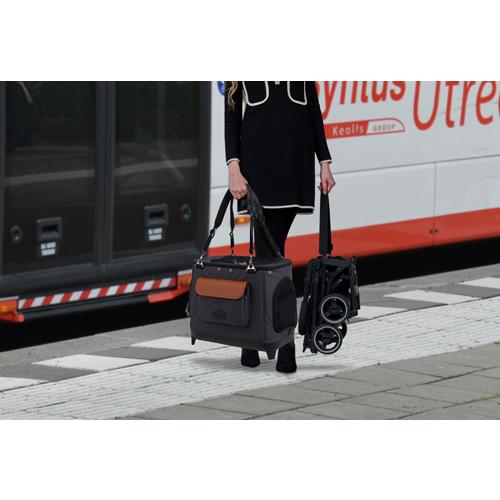 ROYAL TAILS Alice (ロイヤル テイルズ アリス) カラー：Gray(グレー