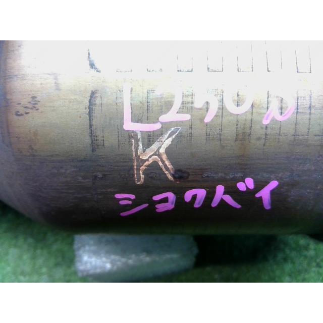 早い者勝ち　ダイハツ　キャンバス　触媒　素材用 ダイハツ 純正 ムーヴキャンバス 《 LA800S 》 触媒 P61700-24003672
