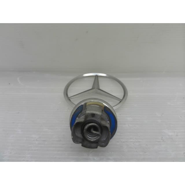 ベンツ Cクラス RBA-205042C エンブレム 197 ボンネット マスコット