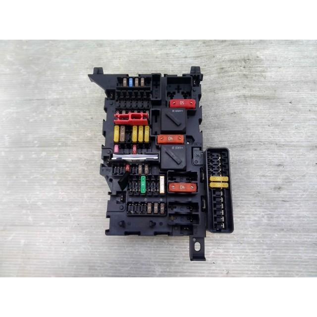 くま出品 スペース田中限定！くまちゃん | フジグランナタリー