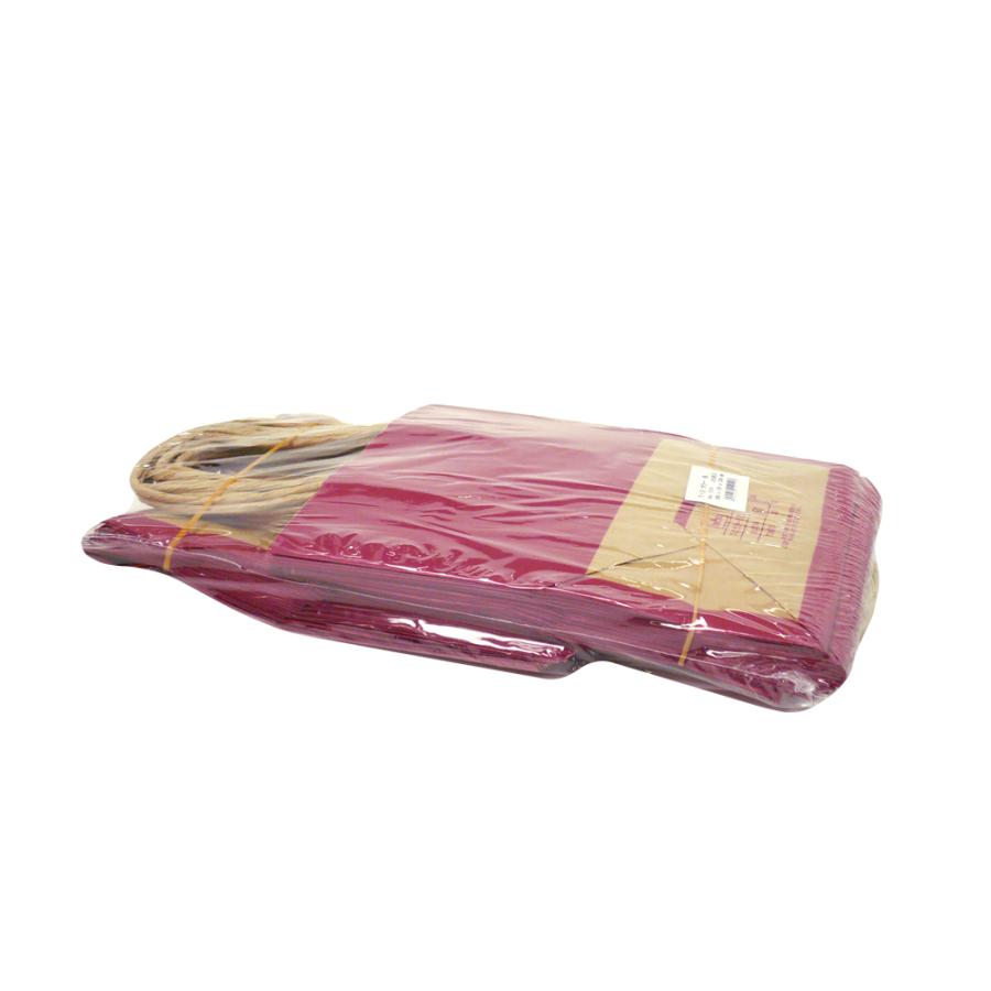 紙袋 手提げ ミニサイズ 【T-2 カラー（赤）レッド】25枚入 業務用 小さめ 200×120×250 プレゼント・ラッピングに！ |  | 01