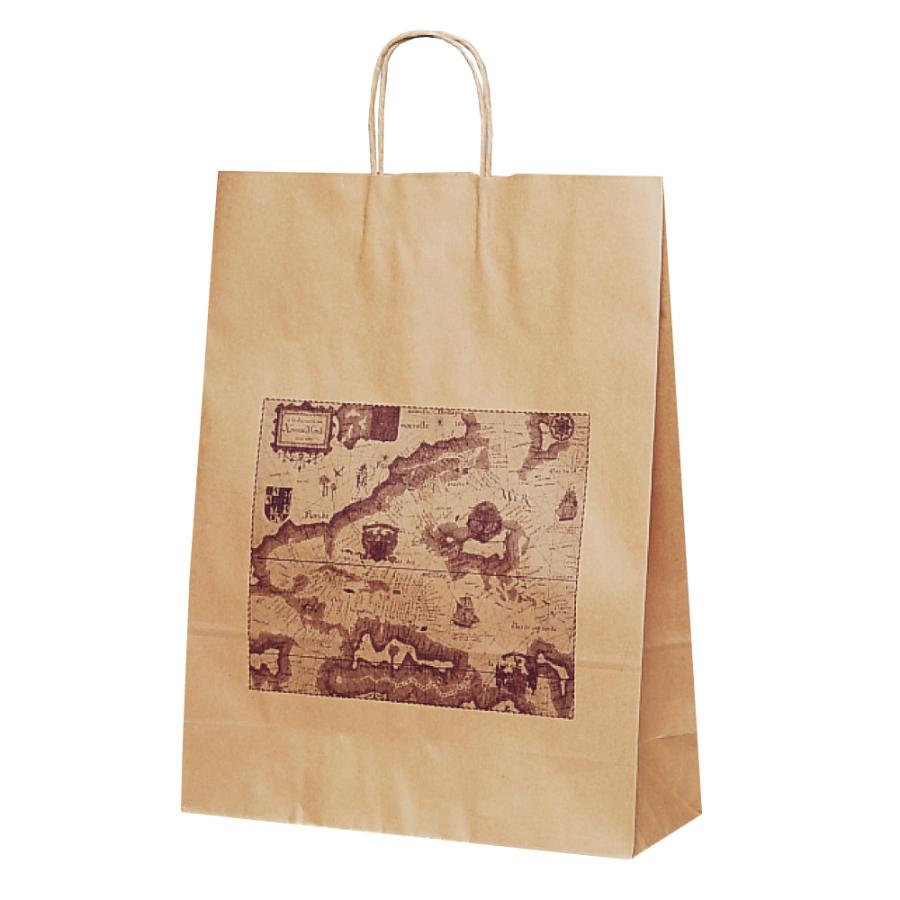 紙手提げ袋 T-12マップ 50枚入 | 