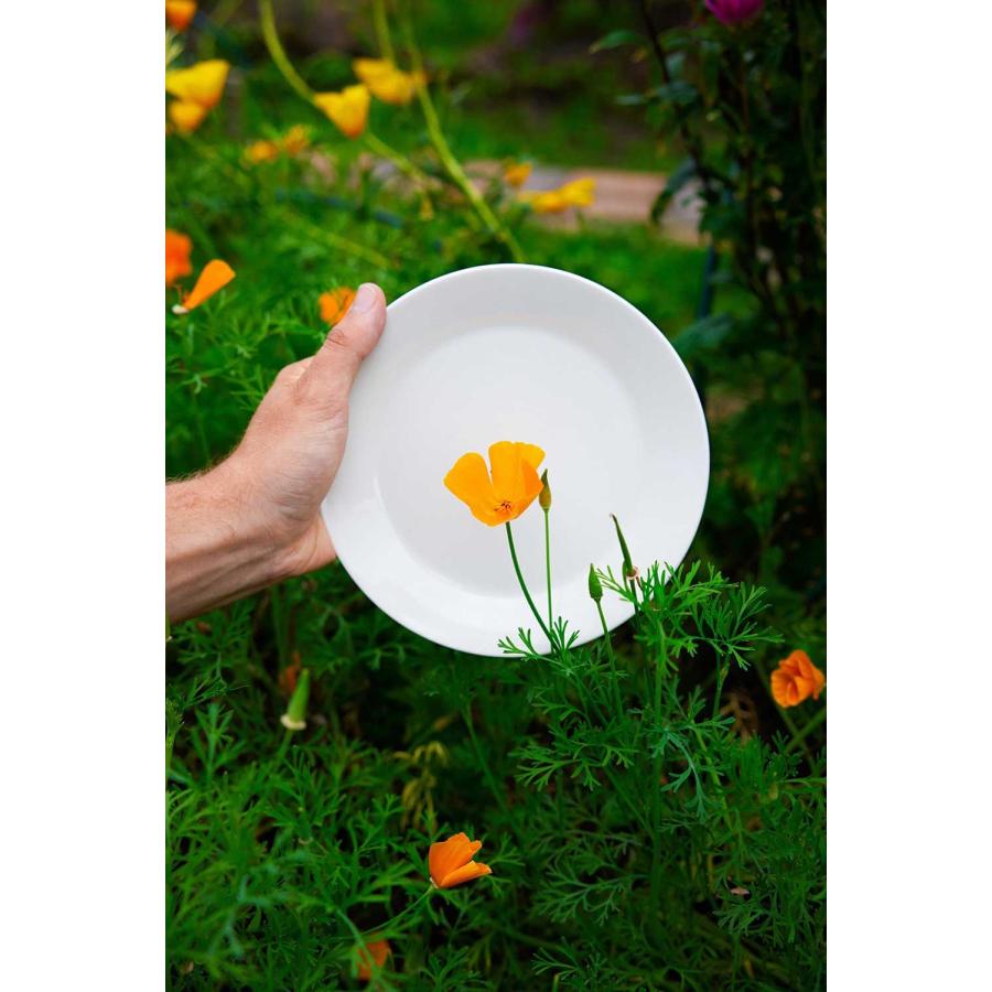 Mainio 【正規取扱店】アラビア ARABIA マイニオ プレート 15cm