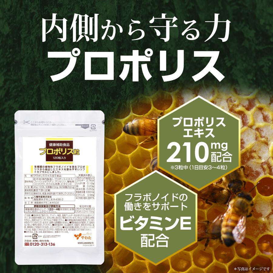 やわた プロポリス粒 約1ヶ月分（120粒入） プロポリス フラボノイド 