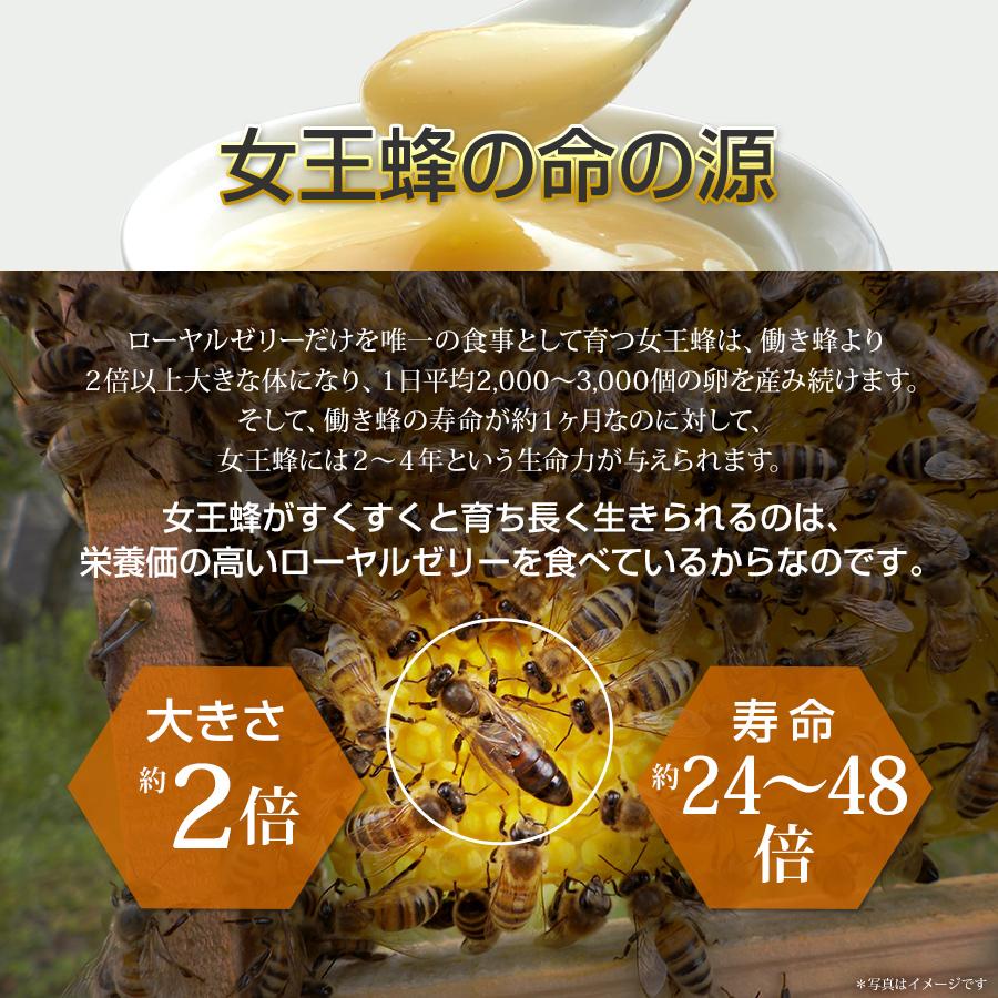 やわた 高原ローヤルゼリー 約1ヶ月分（60粒入） ローヤルゼリー 