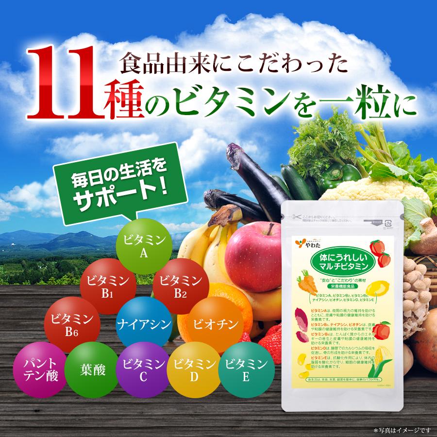 やわた 【送料無料・3袋セット】やわた 体にうれしい マルチビタミン