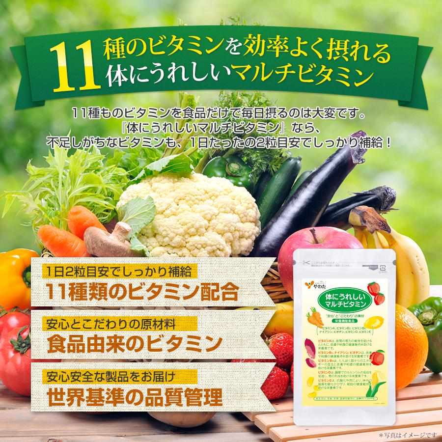 やわた 【送料無料・3袋セット】やわた 体にうれしい マルチビタミン