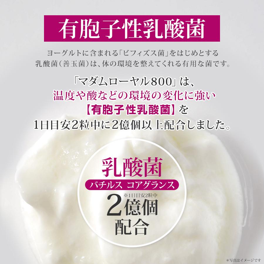 やわた マダムローヤル800 約1ヶ月分（60粒入）ローヤルゼリー 乳酸菌