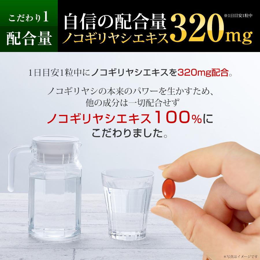 やわた 【送料無料・3袋セット】やわた ノコギリヤシ 約3ヶ月分