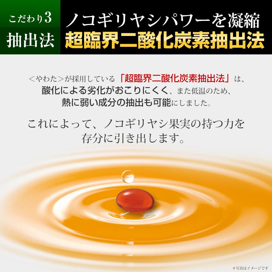 やわた 【送料無料・3袋セット】やわた ノコギリヤシ 約3ヶ月分