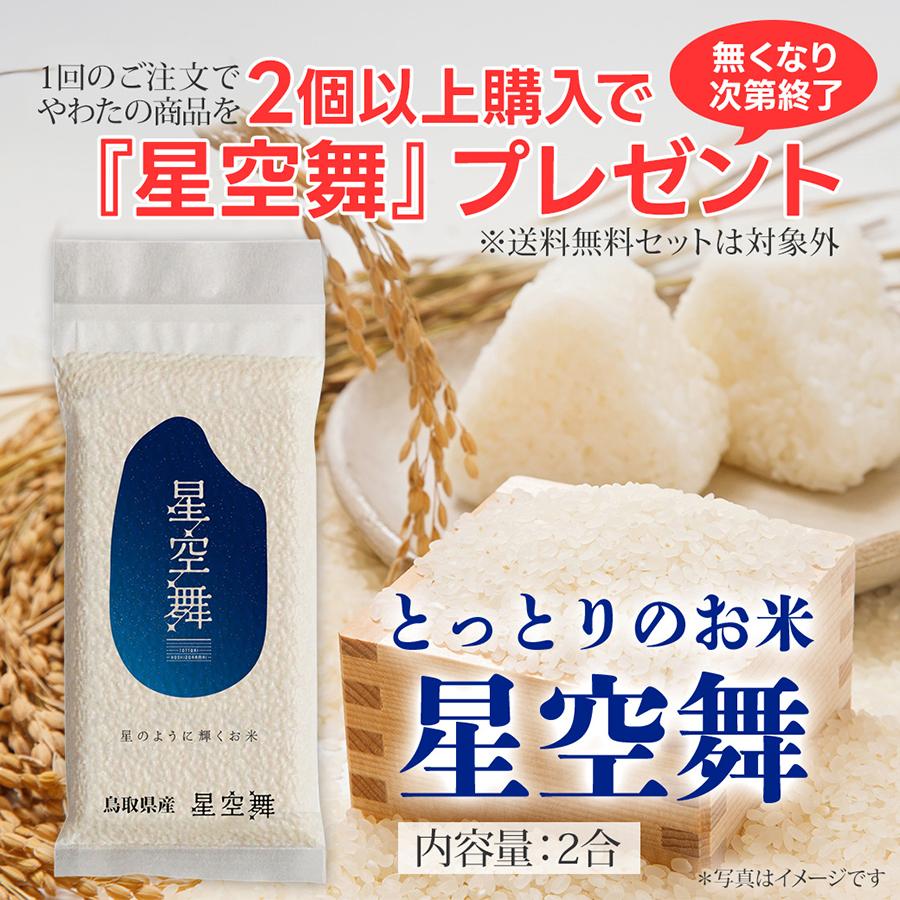 トルネード様専用イチョウ葉エキスお徳用200粒入20箱賞味期限