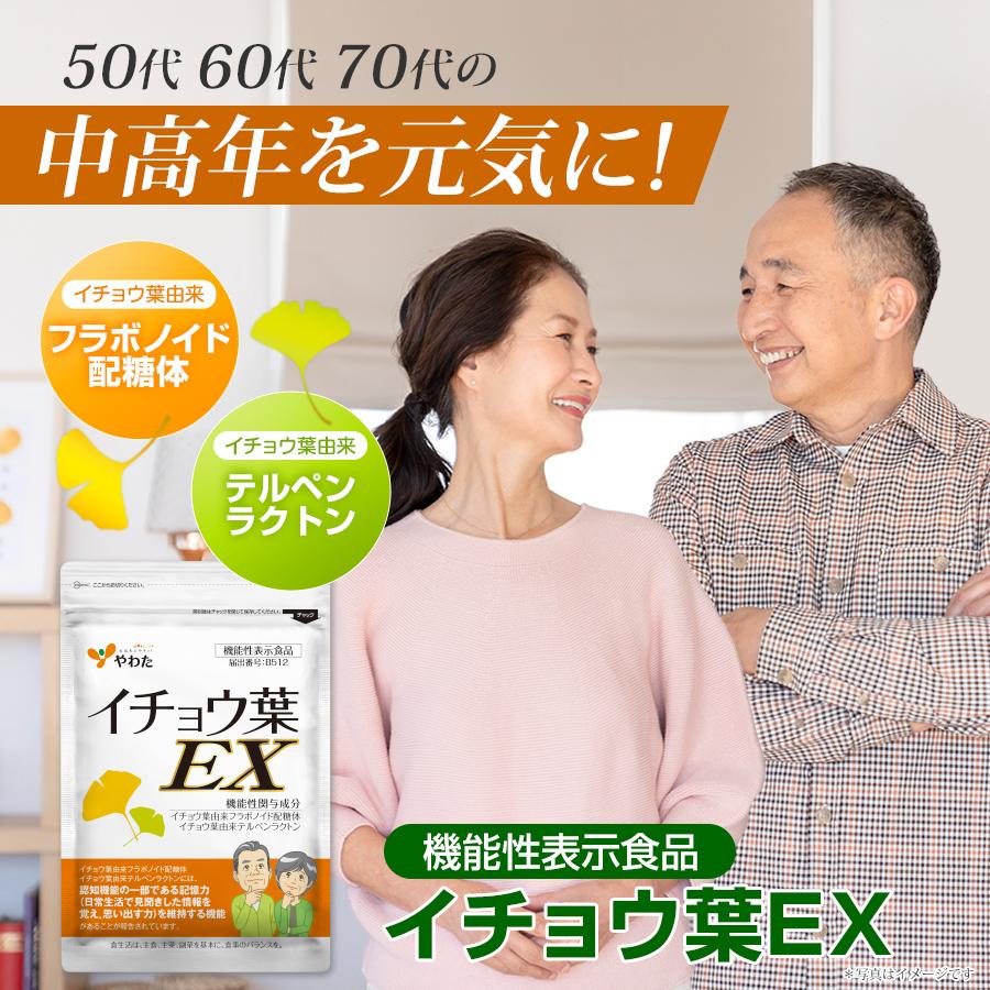 やわた イチョウ葉EX 約1ヶ月分（30粒入）機能性表示食品 イチョウ葉