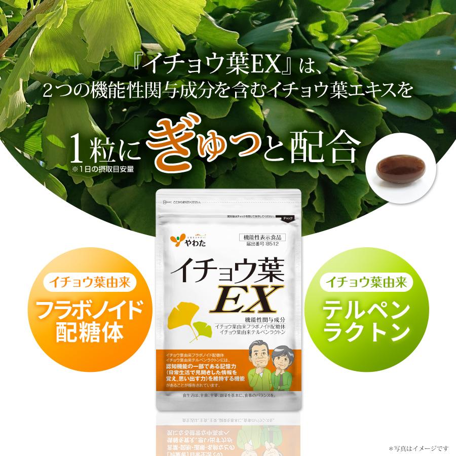 やわた イチョウ葉EX 約1ヶ月分（30粒入）機能性表示食品 イチョウ葉