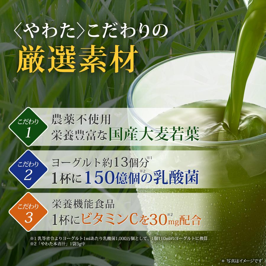 やわた 本青汁 30回分（30袋入） 青汁 国産大麦若葉 乳酸菌 栄養機能