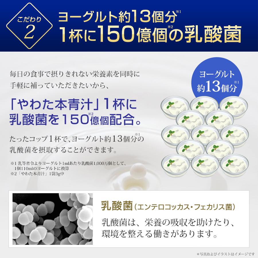やわた 本青汁 30回分（30袋入） 青汁 国産大麦若葉 乳酸菌 栄養機能