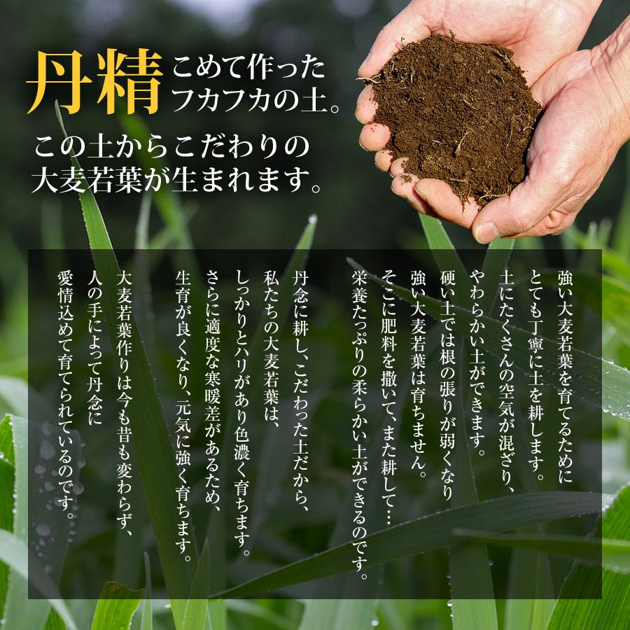 やわた 本青汁 30回分（30袋入） 青汁 国産大麦若葉 乳酸菌 栄養機能