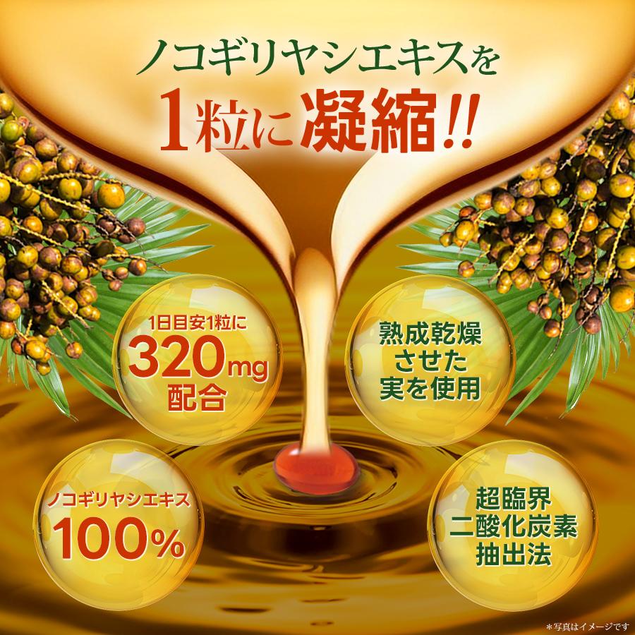 やわた やわたノコギリヤシ 約1ヶ月分（30粒入） 機能性表示食品