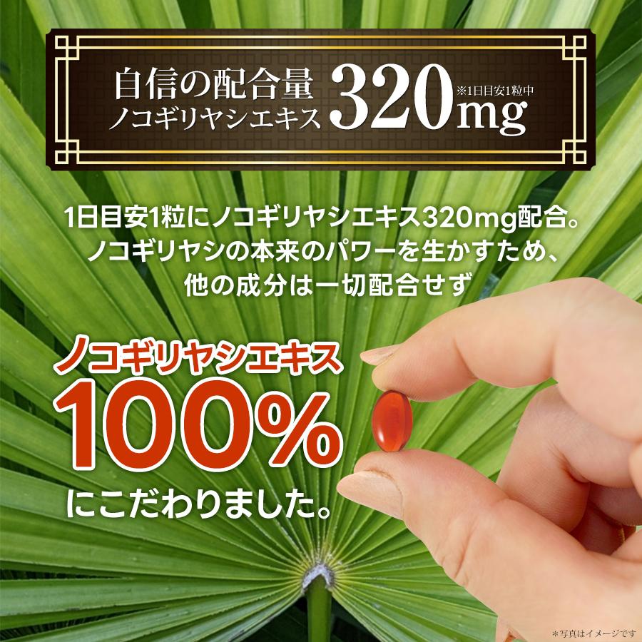 やわた やわたノコギリヤシ 約1ヶ月分（30粒入） 機能性表示食品
