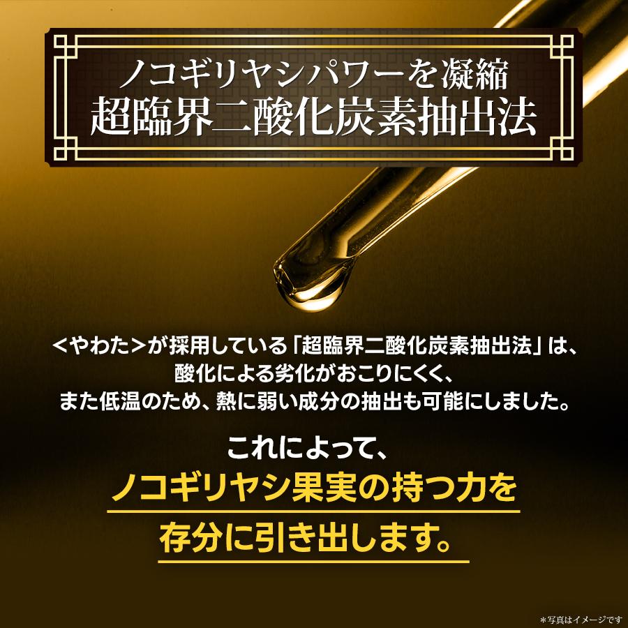 やわた やわたノコギリヤシ 約1ヶ月分（30粒入） 機能性表示食品