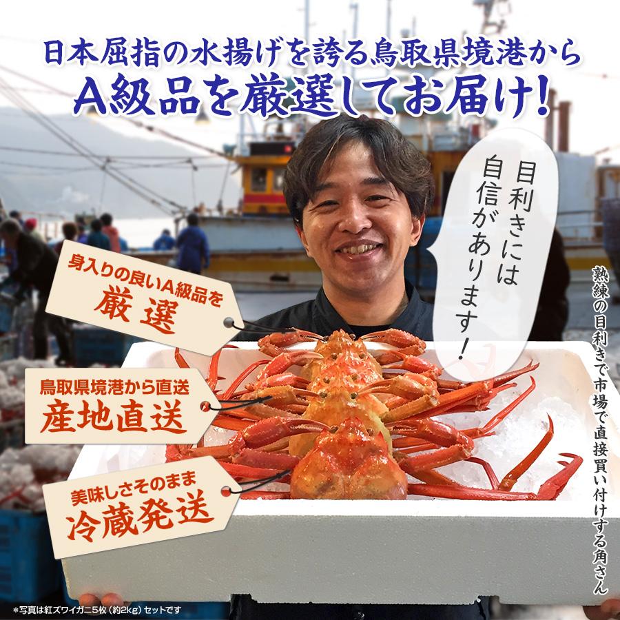 山陰うまいもの】◇冷蔵・選べるお届け日◇ 訳あり 浜茹で紅ズワイガニ