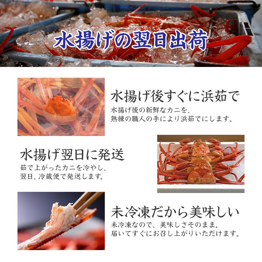 山陰うまいもの】◇冷蔵・選べるお届け日◇ 訳あり 浜茹で紅ズワイガニ
