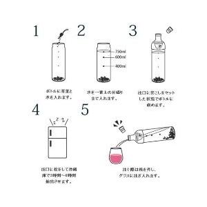 大人気 耐熱ガラス 簡単 お洒落 おもてなし フィルターインボトル|yawatayachaho-ocha|02