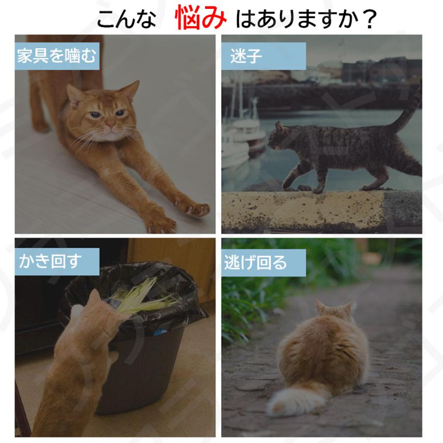 最大59 オフ 猫用ケージ 大型 2段 3段 おしゃれ Diy キャットケージ 折り畳み式 組立式 組替え お手入れ簡単 多頭飼い 小猫 仔猫 ラダー付き ペットゲージ ペット用品 Discoversvg Com