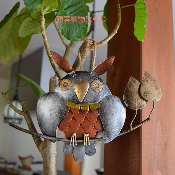 アジアン バリ 雑貨 ♪壁掛けアイアンフクロウ（1匹）♪ インテリア